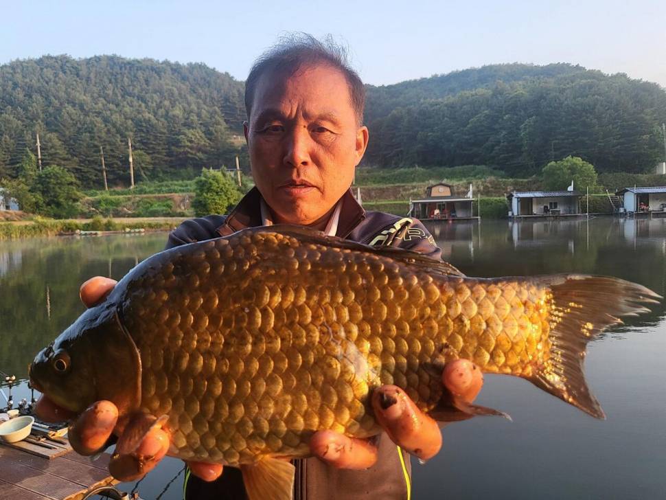 하루 한자리 4짜 5마리 기록 (유료터정보 - 유료터점주조황)