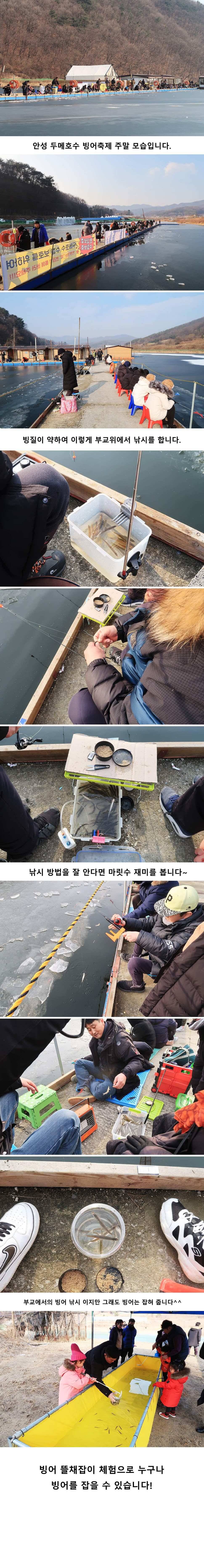 안성 두메낚시터 1월5일 조황안내 빙어축제소식 (유료터정보 - 유료터점주조황)