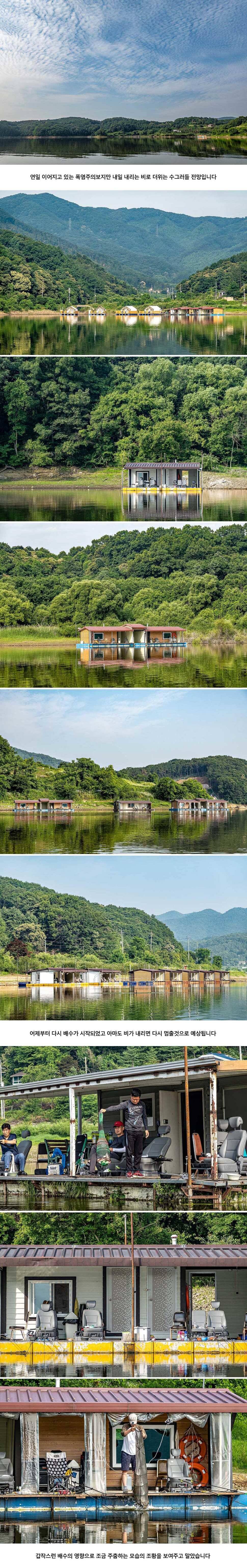 안성 두메낚시터 6월 23일 조황정보 (유료터정보 - 유료터점주조황)