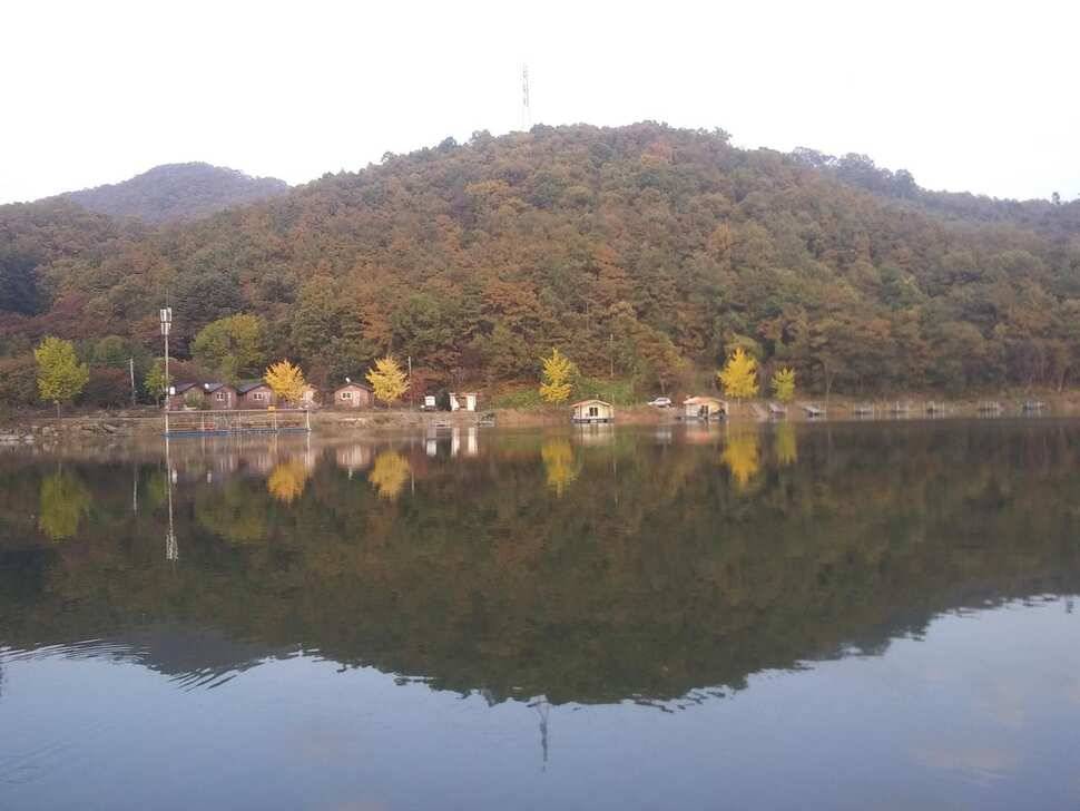 붕어낚시 양평 수곡낚시터 어제조황도 고르게 잘 나와주었습니다 (유료터정보 - 유료터점주조황)