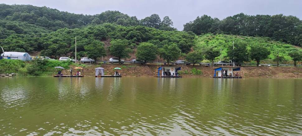 공주 고성낚시터 입니다 (유료터정보 - 유료터점주조황)