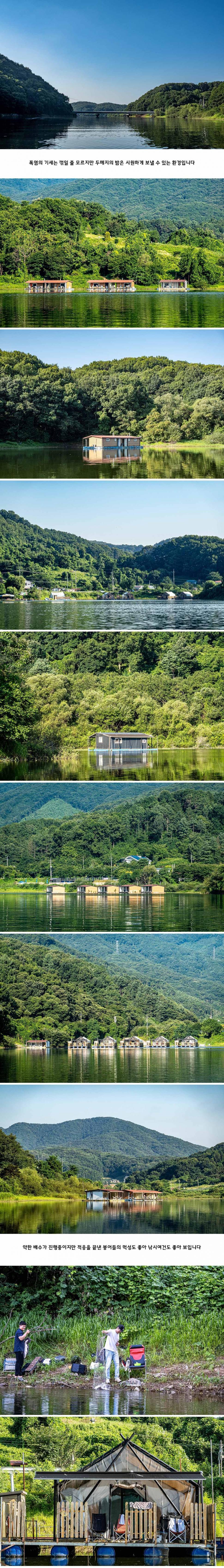 안성 두메낚시터 7월 28일 조황정보 (유료터정보 - 유료터점주조황)