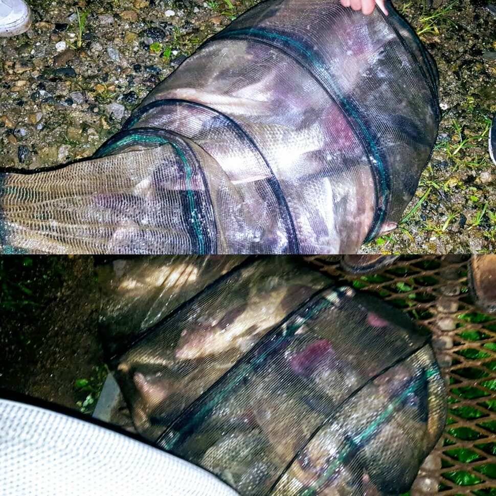 틀림없겠죠 (유료터정보 - 유료터점주조황)