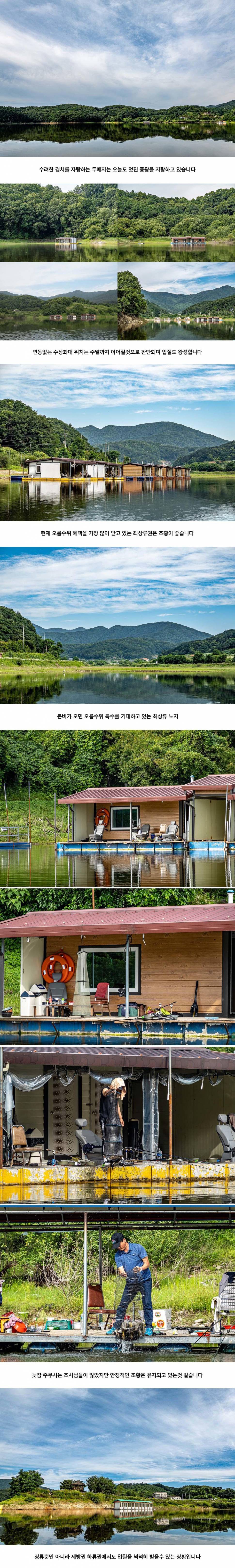 안성 두메낚시터 7월 3일 조황정보 (유료터정보 - 유료터점주조황)