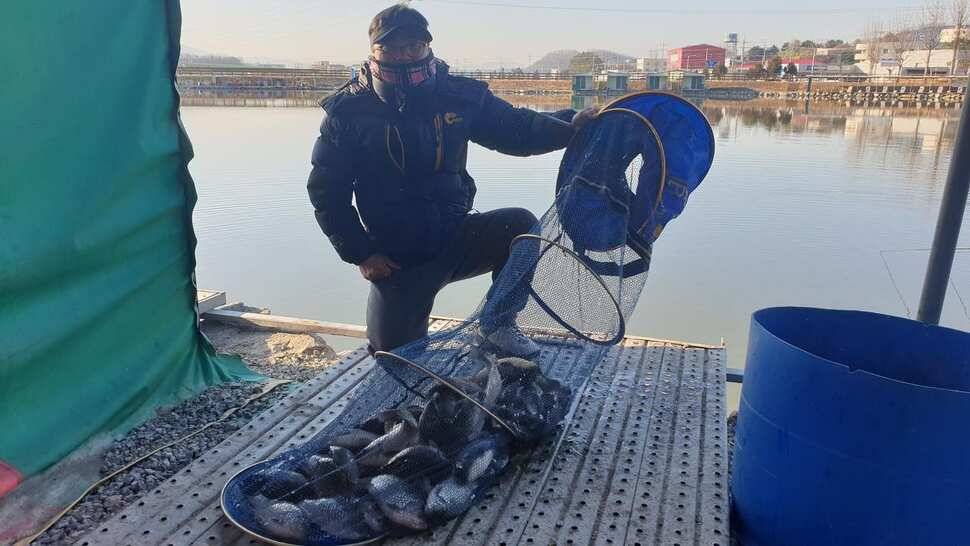 안성 거청낚시터 3 월 14일 붕어조황 (유료터정보 - 유료터점주조황)