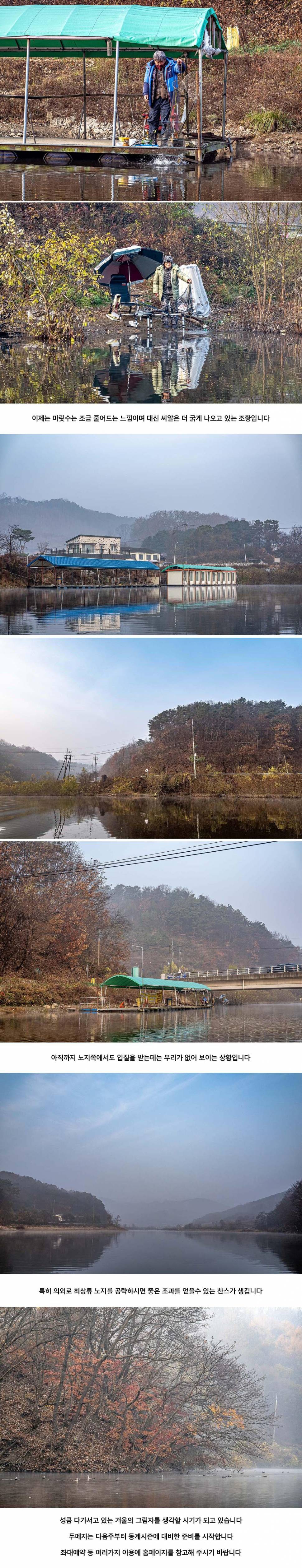 안성 두메낚시터 11월 16일 조황정보 (유료터정보 - 유료터점주조황)