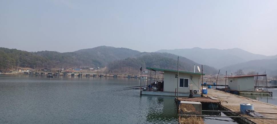 어우실지 주말모습 (유료터정보 - 유료터점주조황)