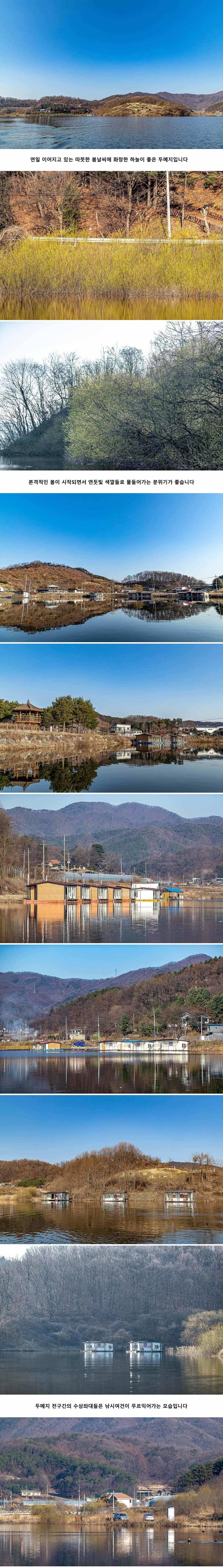 안성 두메낚시터 3월 25일 조황정보 (유료터정보 - 유료터점주조황)