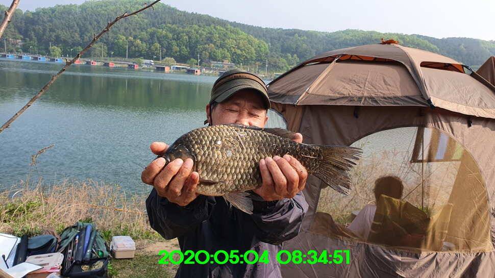 신원낚시터5월13일 토종대물 덩어리 사진입니다 (유료터정보 - 유료터점주조황)