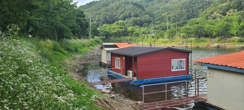 양평낚시터 힐링 수곡낚시터 어제 월요일 조황도 편차는 있지만 꾸준합니다 (유료터정보 - 유료터점주조황)