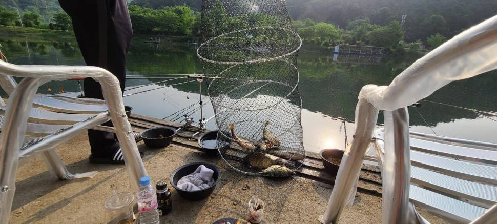 양평 힐링 수곡낚시터 6월둘째주초 조황 및 오늘 붕어 방류 안내 (유료터정보 - 유료터점주조황)