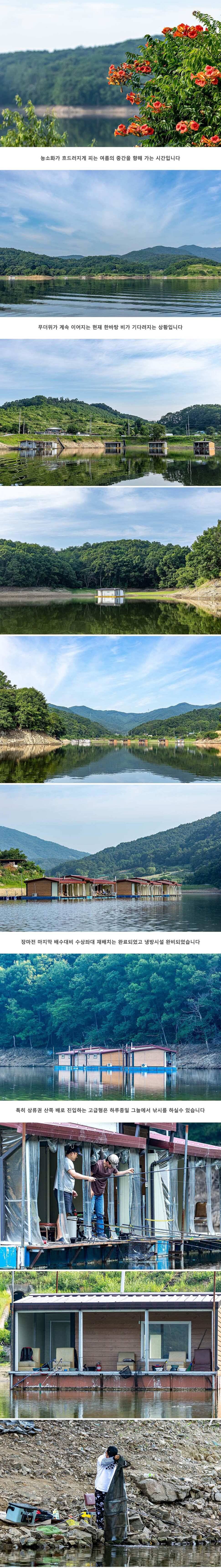 안성 두메낚시터 7월 5일 조황정보 (유료터정보 - 유료터점주조황)