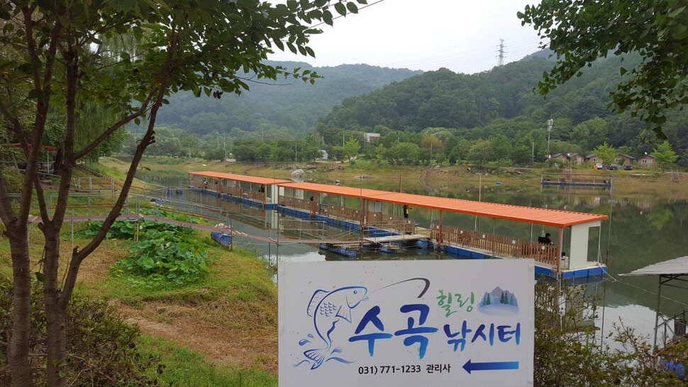 힐링 양평 수곡낚시터 추석연휴 무휴 개장 주말 조황 소식 및 붕어방류 안내 (유료터정보 - 유료터점주조황)