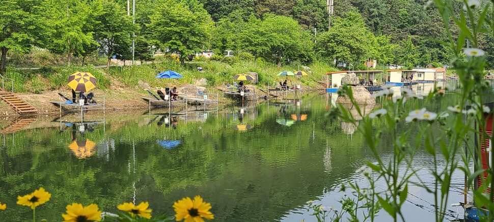 양평 지평 수곡낚시터 주말조황 5짜 붕어 포함 고르게 잘 나와주네요 (유료터정보 - 유료터점주조황)