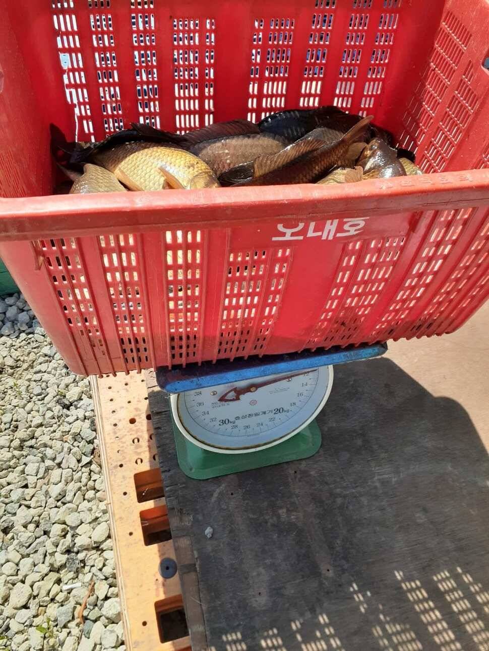 경주 동산낚시터붕어 전용잡이터지난주 조황 (유료터정보 - 유료터점주조황)