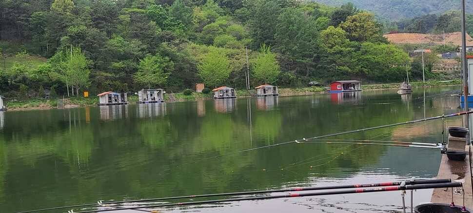 양평 수곡낚시터 5월 첫주말 조황 붕어방류 안내 (유료터정보 - 유료터점주조황)