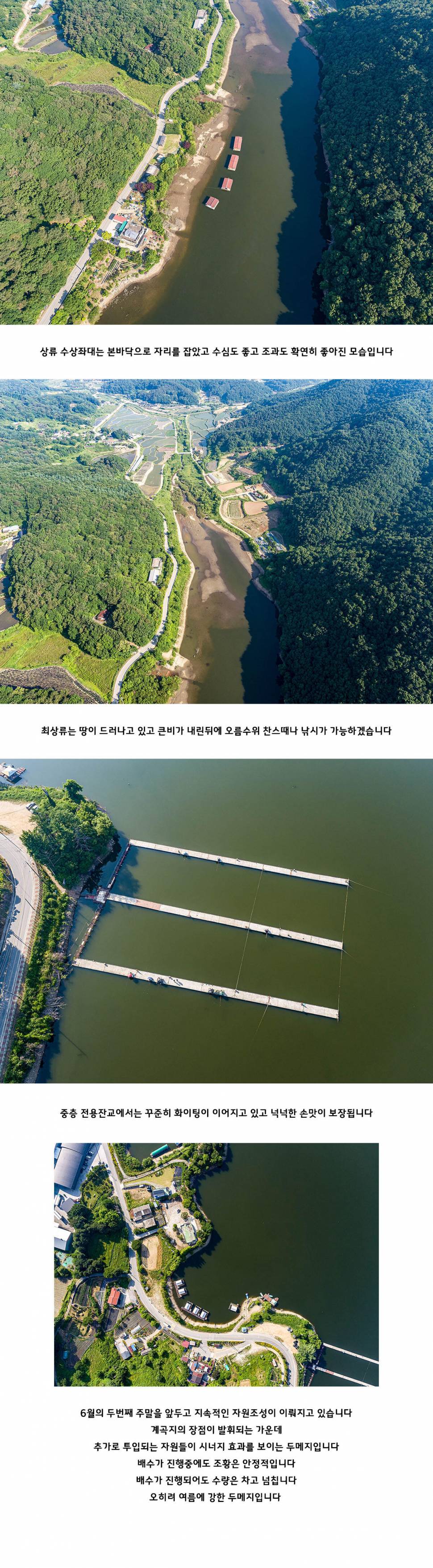 안성 두메낚시터 6월 5일 조황정보 (유료터정보 - 유료터점주조황)