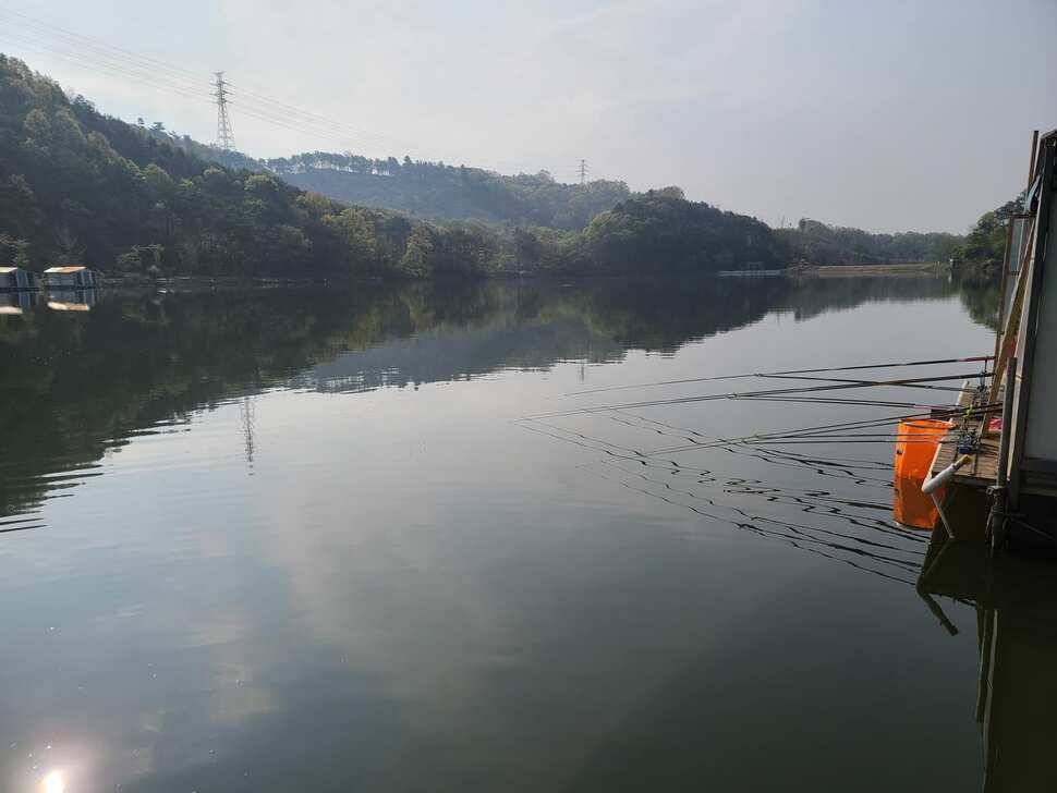 힐링 수곡낚시터 더좋은 조황이 나와주네요 오늘도 붕어방류 합니다 (유료터정보 - 유료터점주조황)