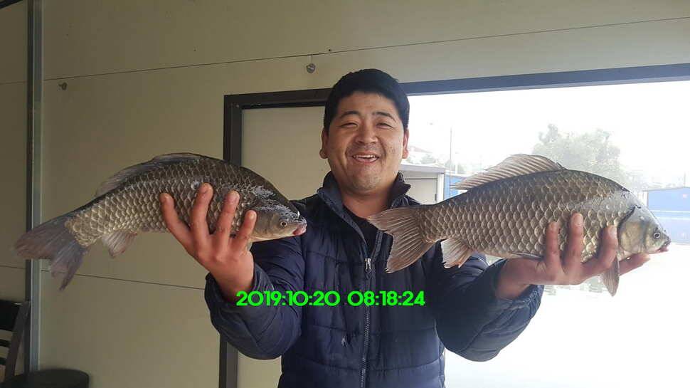 신원낚시터 10월21일 토종 49센티 붕어 구경하시고 가시겠습니다 (유료터정보 - 유료터점주조황)