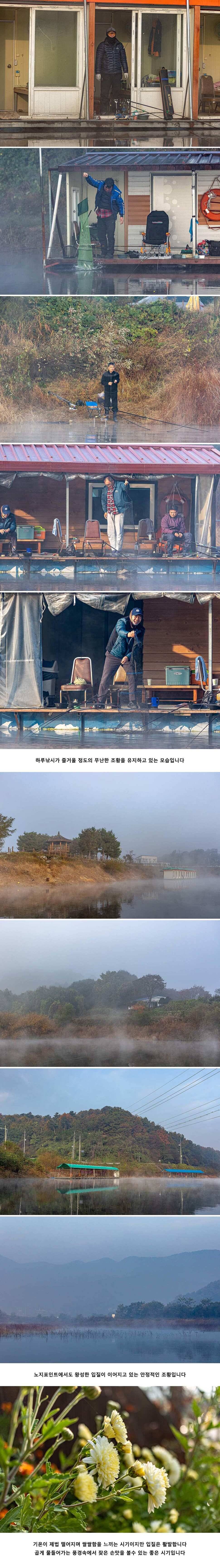 안성 두메낚시터 10월 28일 조항정보 (유료터정보 - 유료터점주조황)