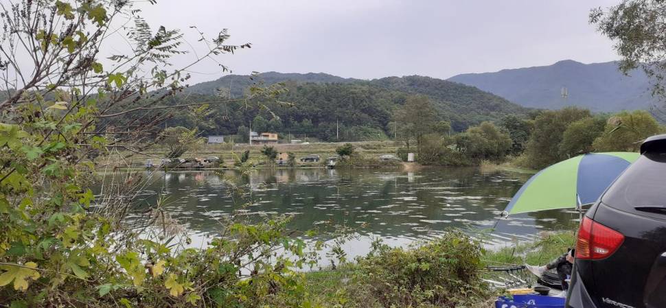 추석연휴 잘보내셨죠 (유료터정보 - 유료터점주조황)