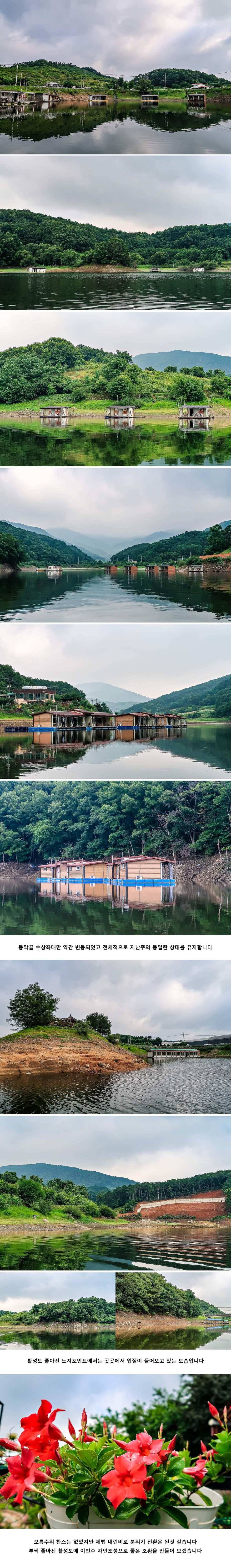 안성 두메낚시터 7월 12일 조황정보 (유료터정보 - 유료터점주조황)