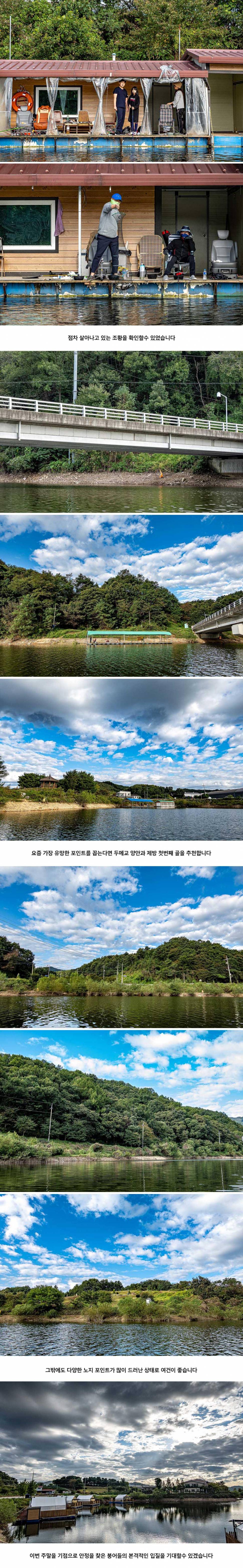 안성 두메낚시터 9월 25일 조황정보 (유료터정보 - 유료터점주조황)