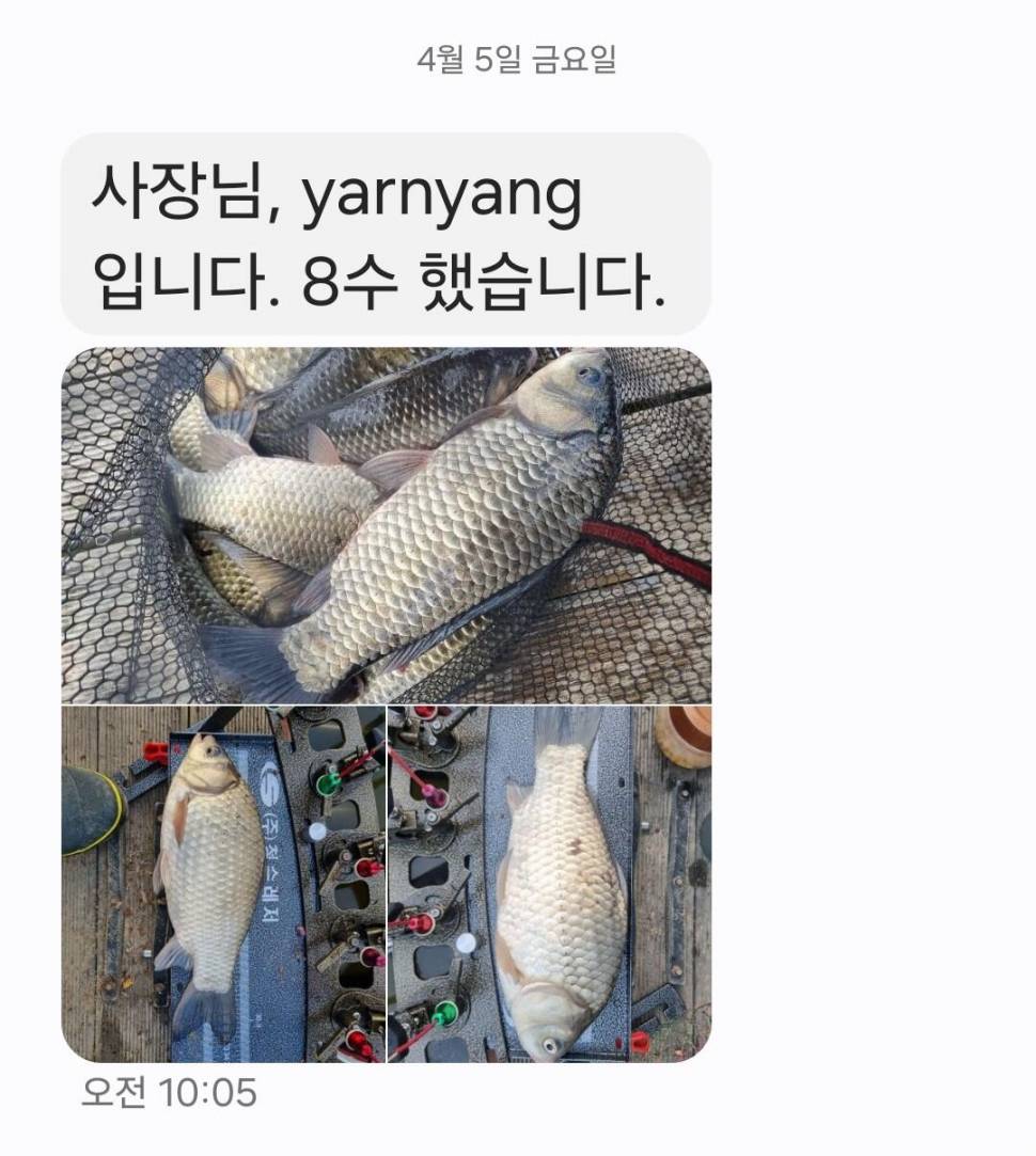 2024년 04월 둘째주 조황정보 용담낚시터사암지 이번주 4짜 1마리 (유료터정보 - 유료터점주조황)