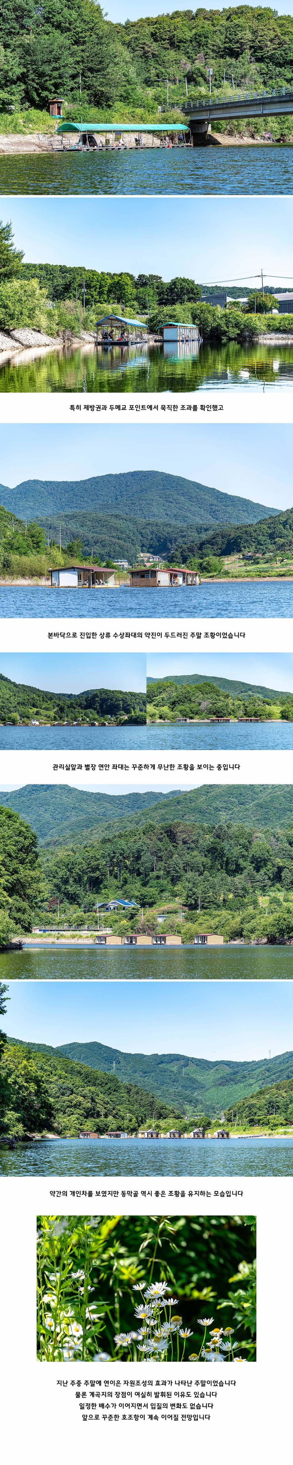 안성 두메낚시터 6월 2일 조황정보 (유료터정보 - 유료터점주조황)