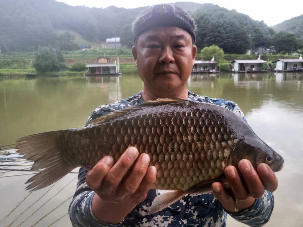 용담대물낚시터 (유료터정보 - 유료터점주조황)