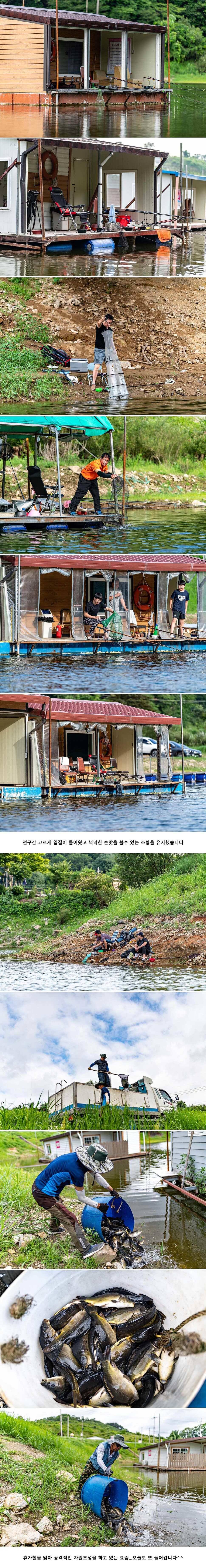 안성 두메낚시터 7월 30일 조황정보 (유료터정보 - 유료터점주조황)