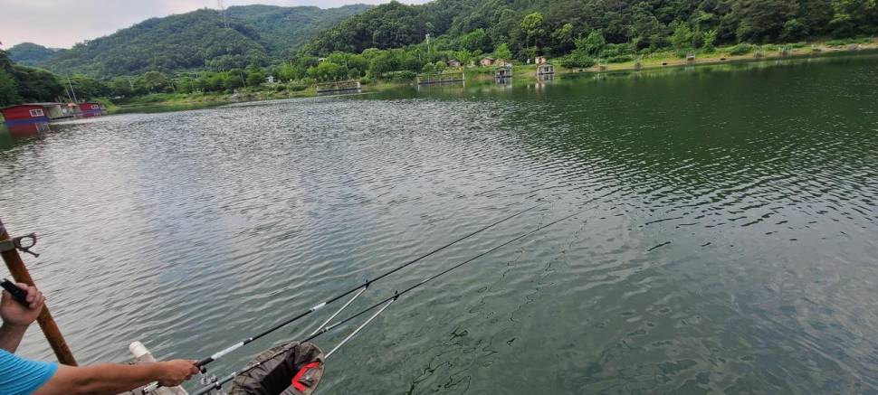 휴가철 여름피서 수곡낚시터 월요일 76조황 및 붕어방류 안내 (유료터정보 - 유료터점주조황)