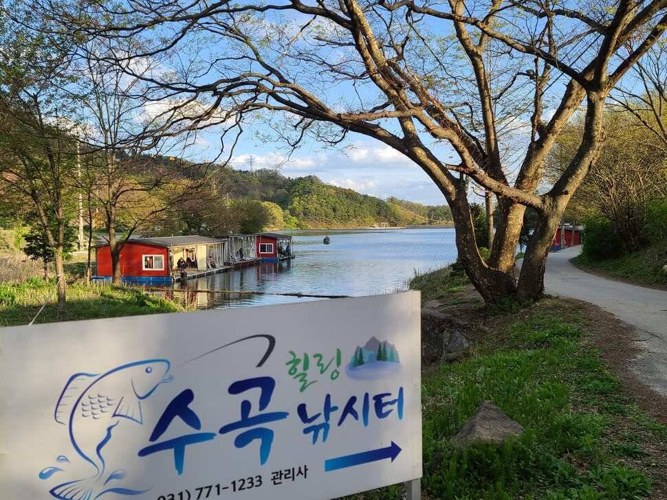 힐링 양평 수곡낚시터 4월 넷째주 주초 좋은 조황 및 붕어 방류 안내 (유료터정보 - 유료터점주조황)