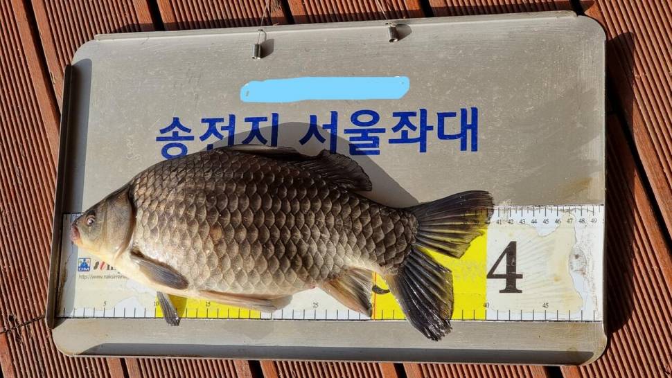 송전지서울좌대4월24일조황 (유료터정보 - 유료터점주조황)