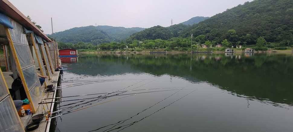 여름 피서 수곡낚시터 6월네째주 화요일 조황 안내 (유료터정보 - 유료터점주조황)