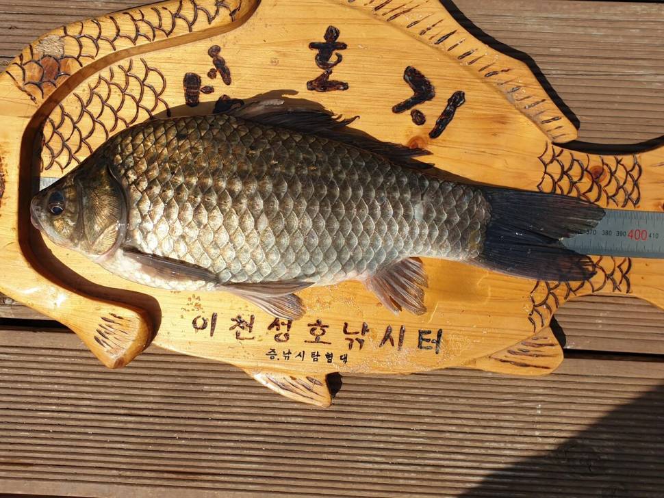 가득찬 성호낚시터 8월30일 조황정보 (유료터정보 - 유료터점주조황)