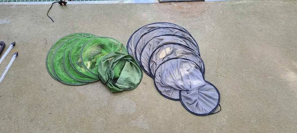 공주 고성낚시터 입니다 (유료터정보 - 유료터점주조황)