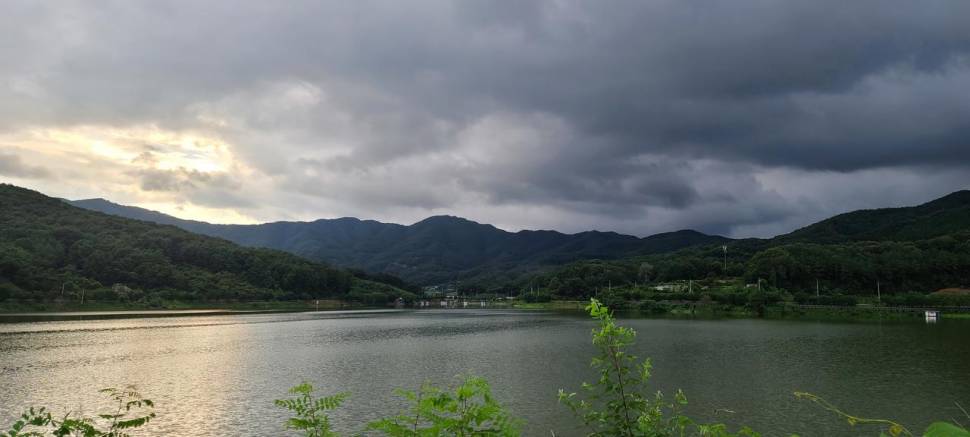 공주 고성낚시터 입니다 (유료터정보 - 유료터점주조황)