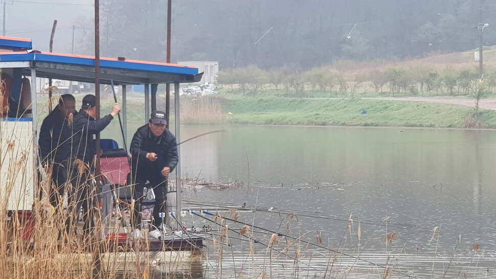 당진 가교리낚시터 4월 25일 토종붕어 조황 (유료터정보 - 유료터점주조황)