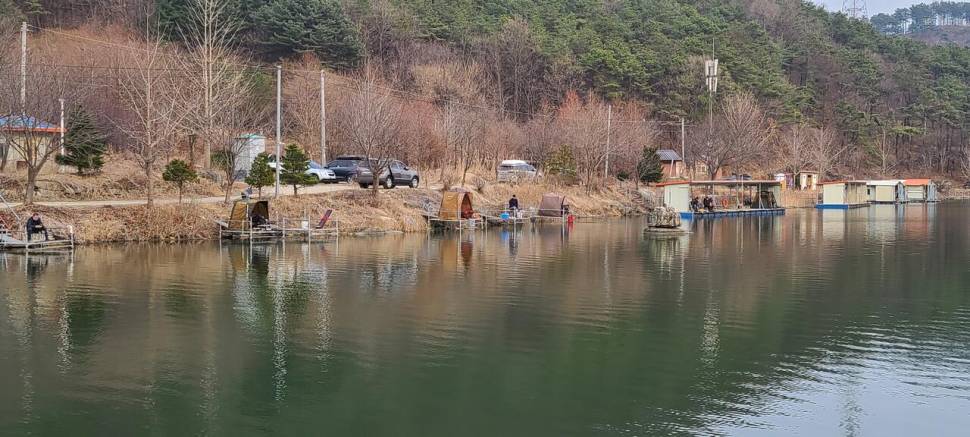 양평 힐링 수곡낚시터 둘째주 주말 조황 및 붕어 방류 (유료터정보 - 유료터점주조황)