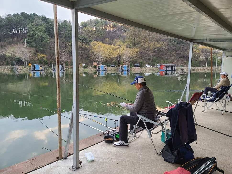 힐링 양평 수곡낚시터 주말조황 및 방류안내 (유료터정보 - 유료터점주조황)