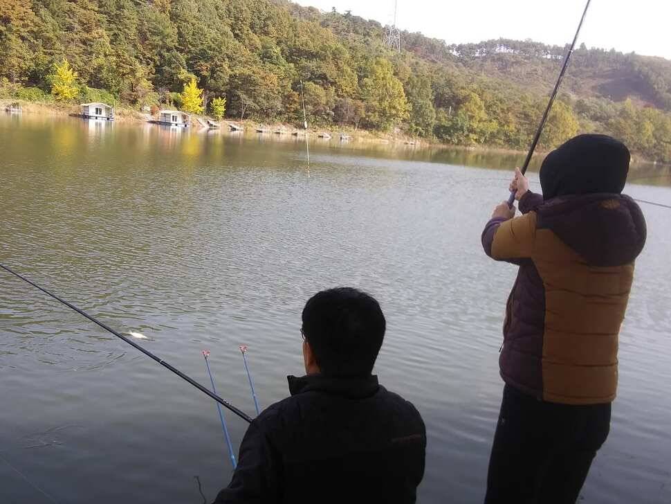 양평 수곡낚시터 대박조황은 아니지만 고른 조황이 나와줍니다 (유료터정보 - 유료터점주조황)