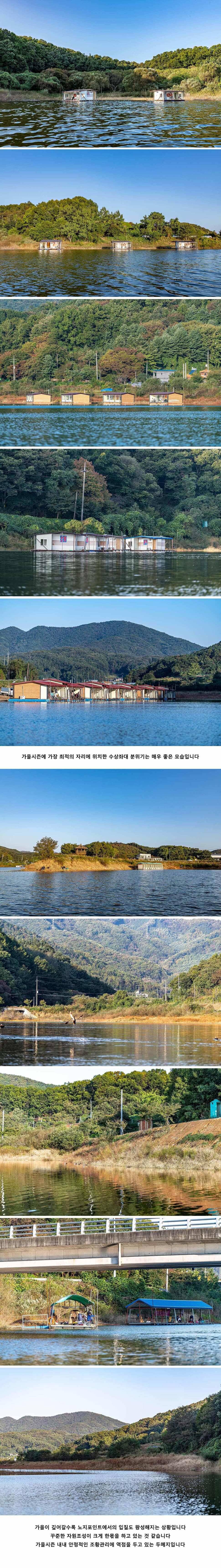 안성 두메낚시터 10월 12일 조황정보 (유료터정보 - 유료터점주조황)