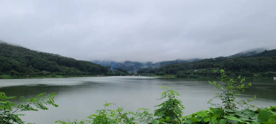 공주 고성낚시터 입니다 (유료터정보 - 유료터점주조황)
