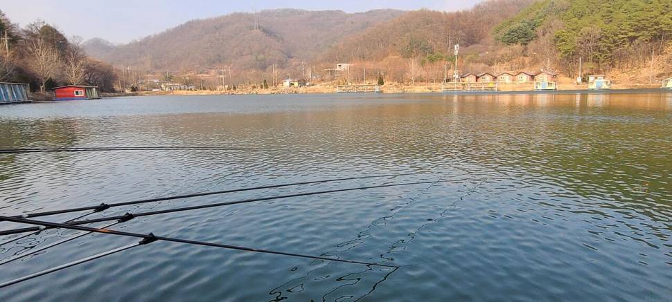 양평 힐링 수곡낚시터 2월 마지막주 주후반 조황 소식 (유료터정보 - 유료터점주조황)