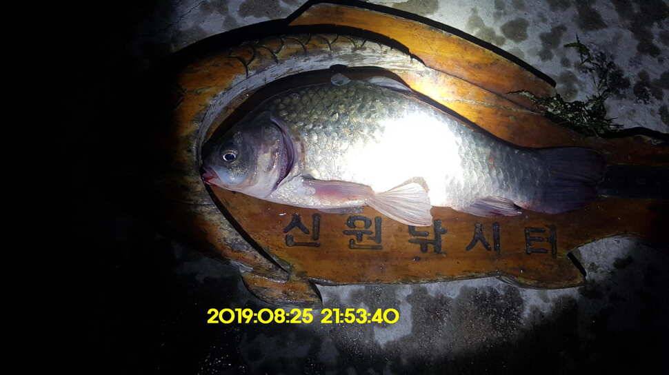 신원낚시터 8월27일 토종 4짜 소식입니다 (유료터정보 - 유료터점주조황)