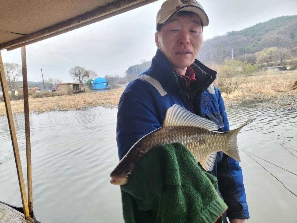 당진 가교리 낚시터 4월 2일 조황입니다 (유료터정보 - 유료터점주조황)
