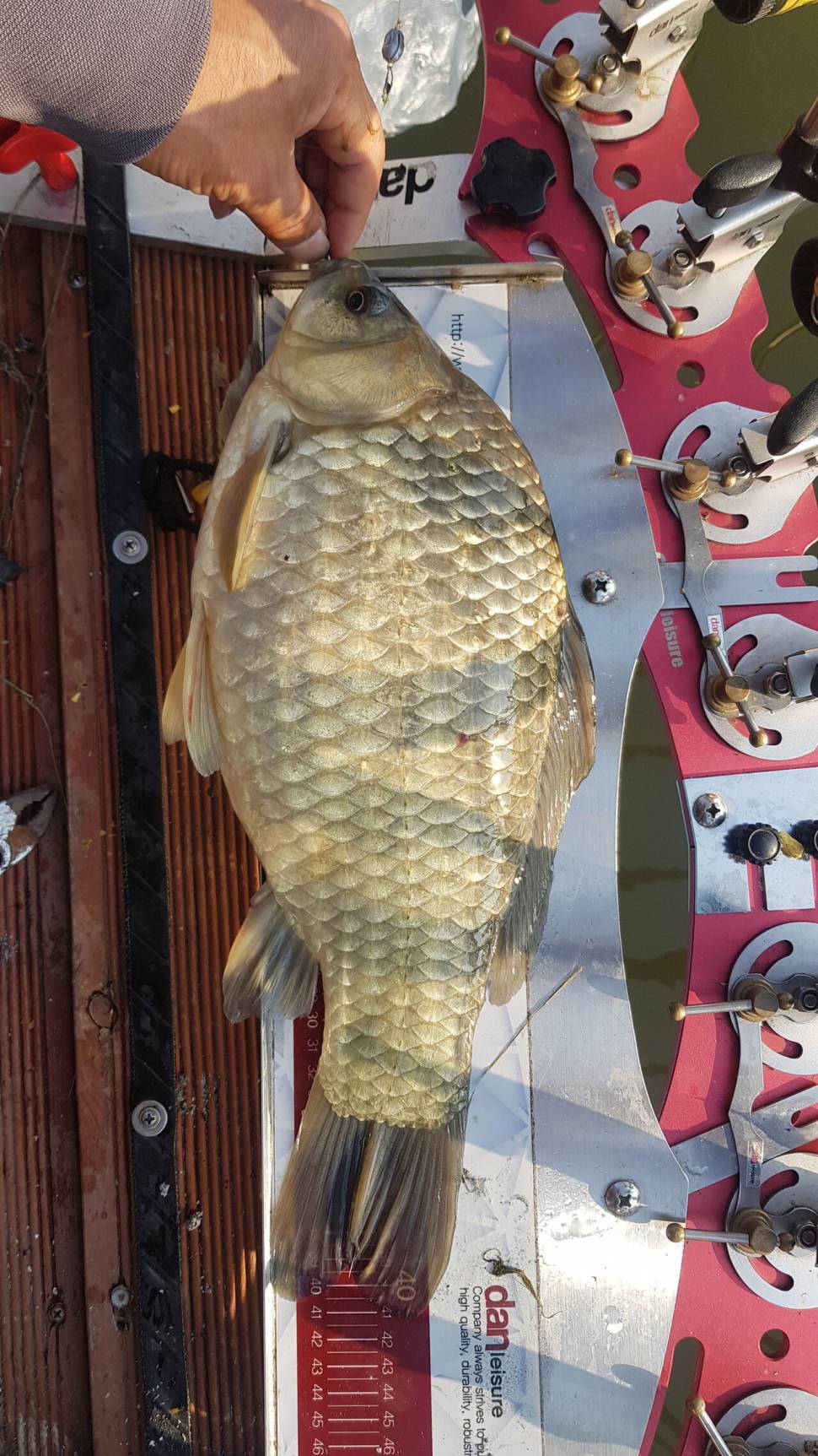 오산집 첫 사짜 신고 합니다 (유료터정보 - 유료터점주조황)