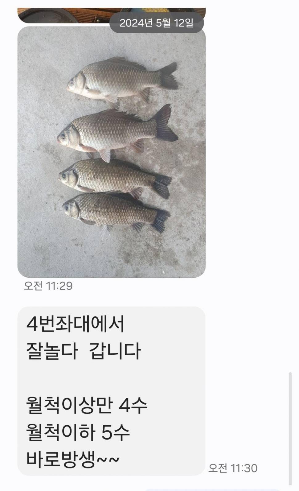 2024년 05월 셋째주 조황정보 용담낚시터사암지 4짜 5마리 (유료터정보 - 유료터점주조황)