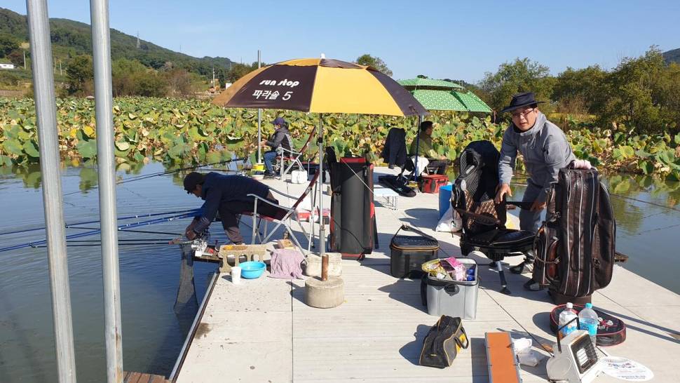아산 명품 월랑낚시터 10월 두번째 조황이야기입니다 (유료터정보 - 유료터점주조황)